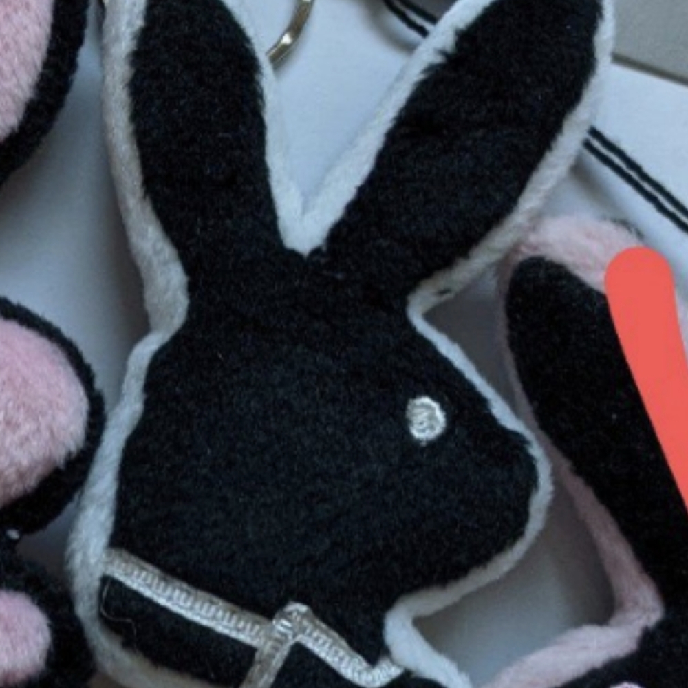 Teeny black bunny 🐇
